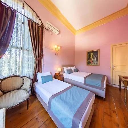 Bueyuekada Anastasia Meziki History Mansion * Adalar