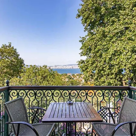 Bueyuekada Anastasia Meziki History Mansion * Adalar