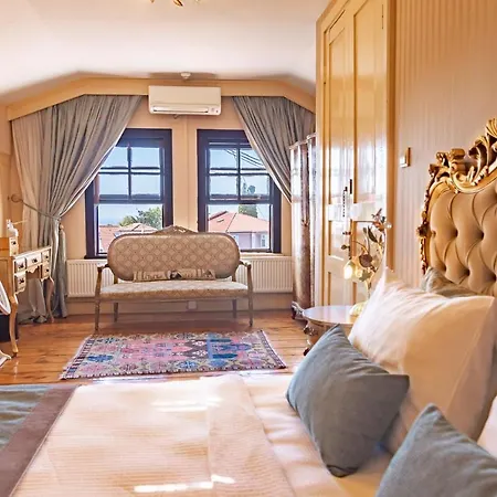 Bueyuekada Anastasia Meziki History Mansion * Adalar