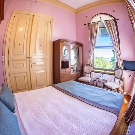Hotel Bueyuekada Anastasia Meziki History Mansion *