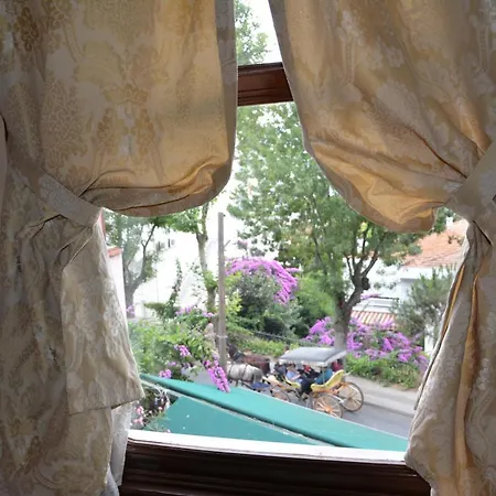 Hotel Bueyuekada Anastasia Meziki History Mansion