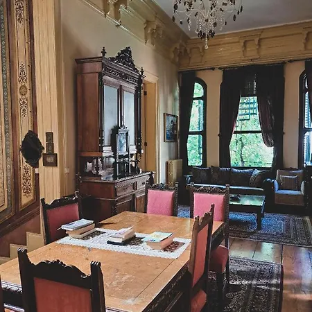 Bueyuekada Anastasia Meziki History Mansion Adalar