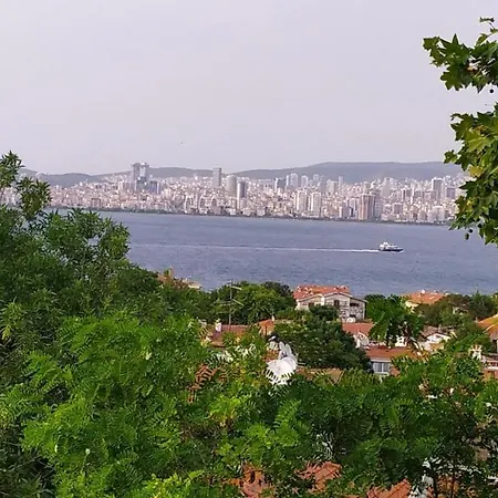 Hotel Bueyuekada Anastasia Meziki History Mansion