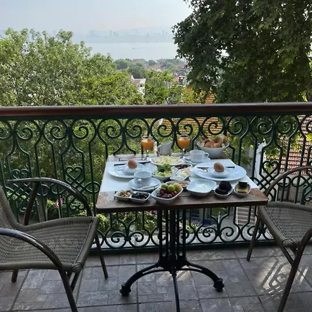 Bueyuekada Anastasia Meziki History Mansion Hotel *