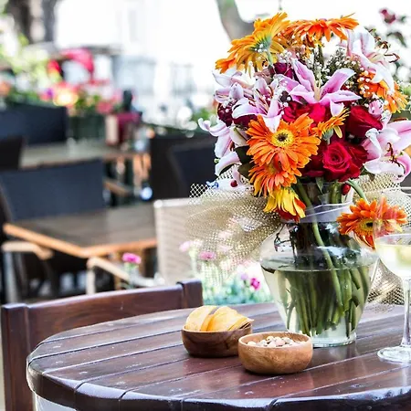 Hotel Bueyuekada Anastasia Meziki History Mansion *