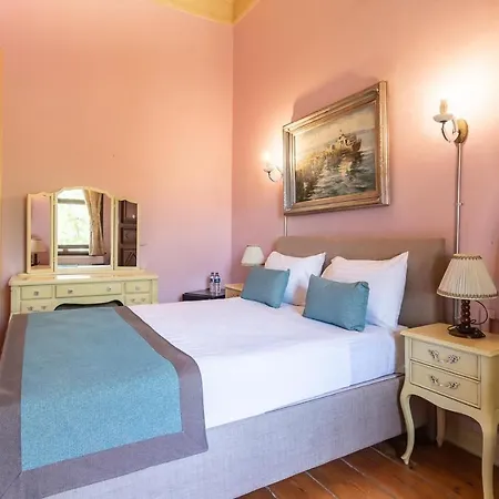 Bueyuekada Anastasia Meziki History Mansion * Adalar