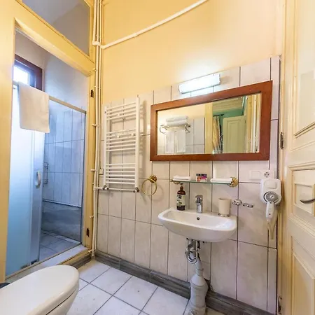 Bueyuekada Anastasia Meziki History Mansion Hotel *